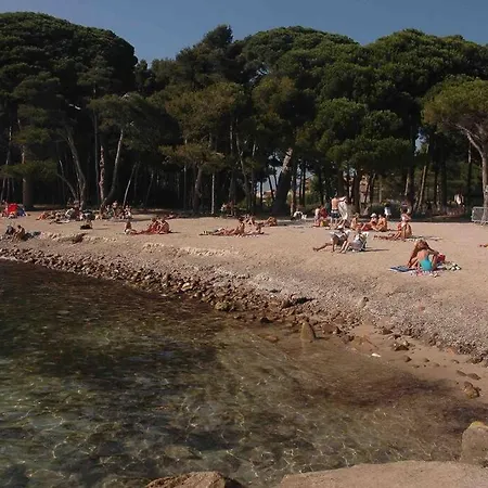 2pers Pin Rolland Apartment Saint-Mandrier-sur-Mer